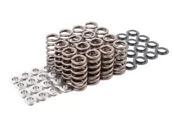 APR Valve Spring And Retainer Kits