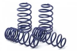 Auto Parts Store 22 H&R Super Sport Lowering Coil Springs