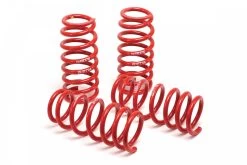 H&R Springs Race Lowering Coil Springs
