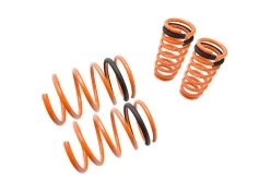Megan Racing Lowering Springs